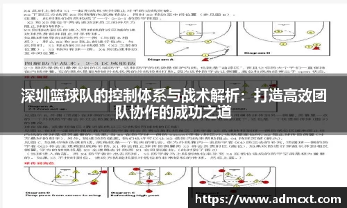 深圳篮球队的控制体系与战术解析：打造高效团队协作的成功之道