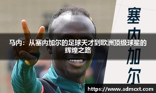 OB电竞·(中国)电子竞技平台